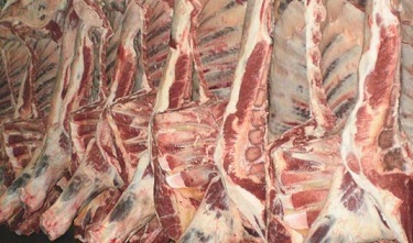 Exportação de carne bovina do Brasil, projeção para 2023